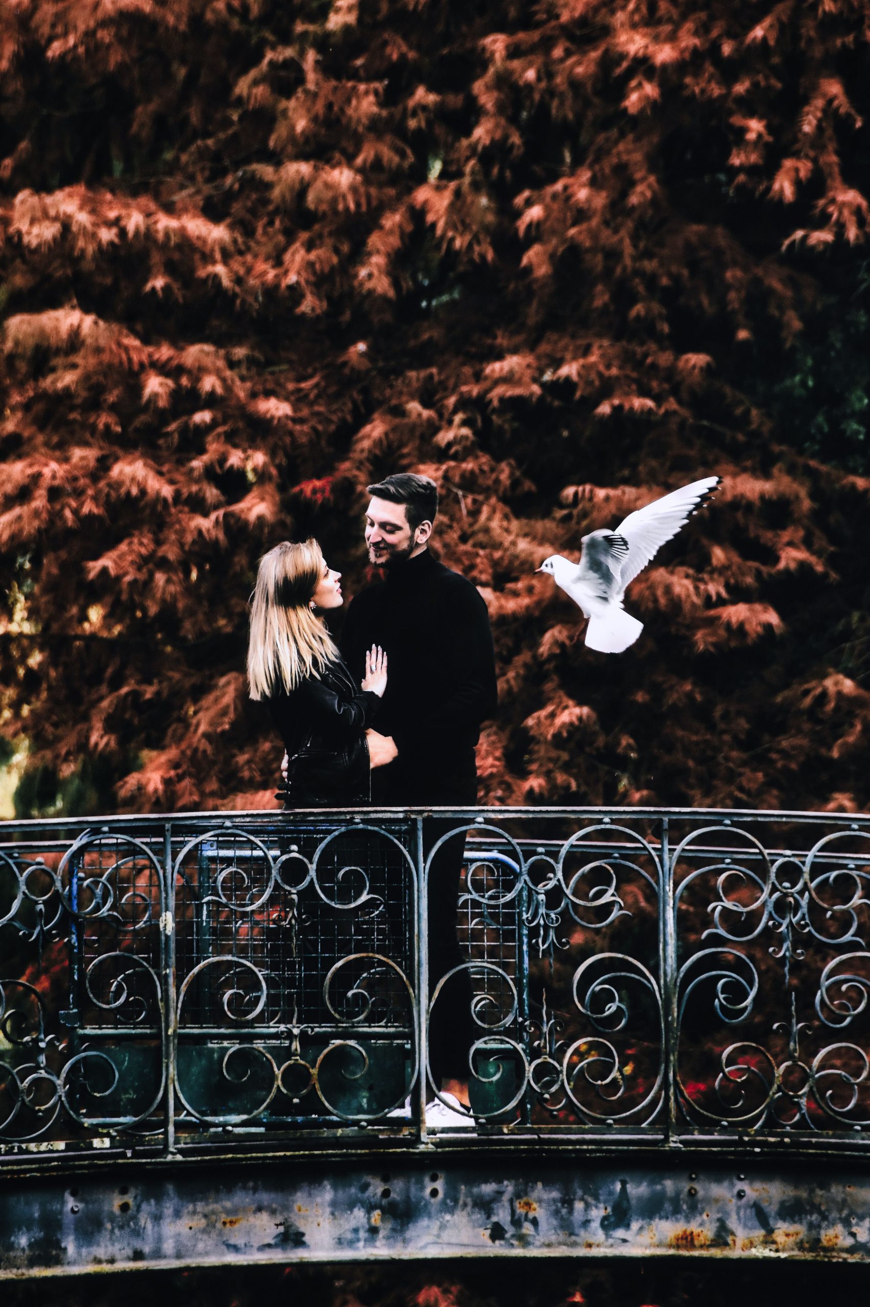 DSC 0419 1 1 1 Scaled