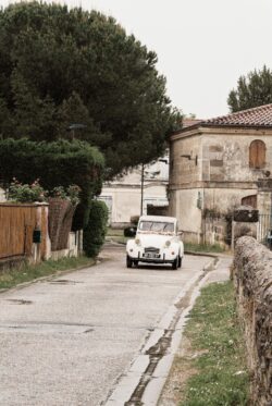 Portfolio Svg+xml,%3Csvg%20xmlns%3D%22http%3A%2F%2Fwww.w3