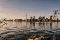 Image d’évasion et nature – Toronto – Sarah Cruchet – scphotographiebordeaux