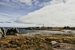 Image d’évasion et nature – Ouessant – Sarah Cruchet – scphotographiebordeaux