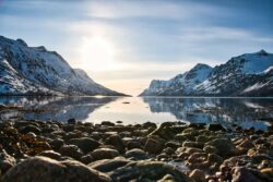 Image d’évasion et nature – Tromso – Sarah Cruchet – scphotographiebordeaux