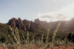 Image d’évasion et nature – Corse – Sarah Cruchet – scphotographiebordeaux