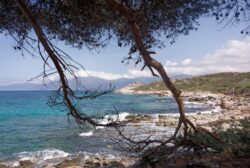 Image d’évasion et nature – Corse – Sarah Cruchet – scphotographiebordeaux