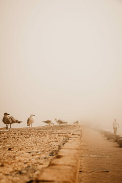 essaouira 15