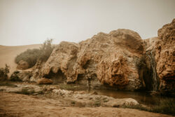 essaouira 161