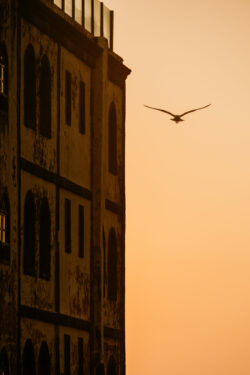 essaouira 231